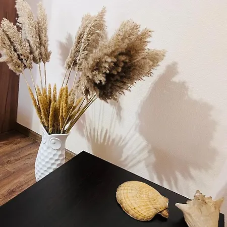 Appartement в центре! книжный рынок!