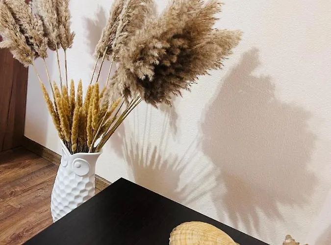 Апартаменты в центре! книжный рынок!