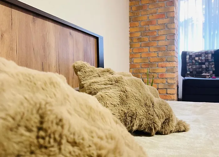 в центре! книжный рынок!